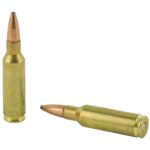 REM 300RSAUM 165GR PSP CL 20/200